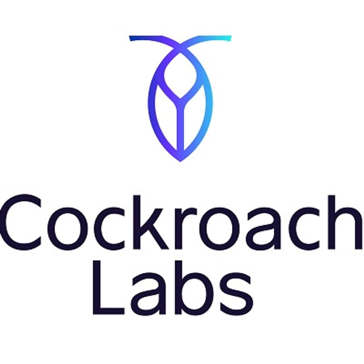 Database services specialist Cockroach haalt flink kapitaal op image