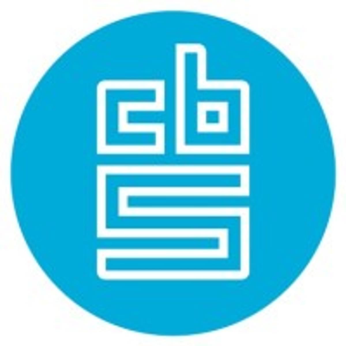 CBS: IT-dienstverleners profiteren van aantrekkende vraag image