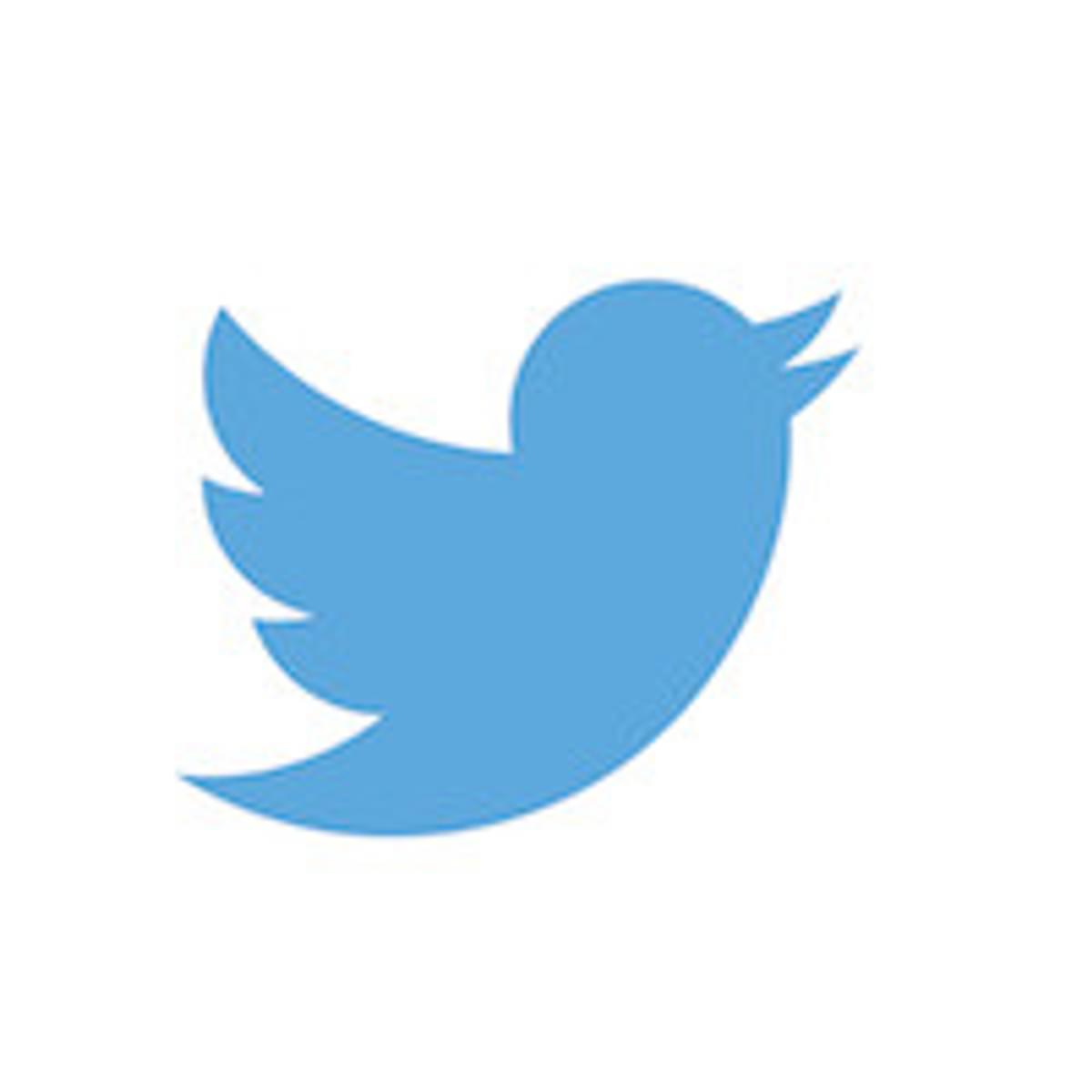 Twitter sleept Indiase overheid voor de rechter wegens censuur image