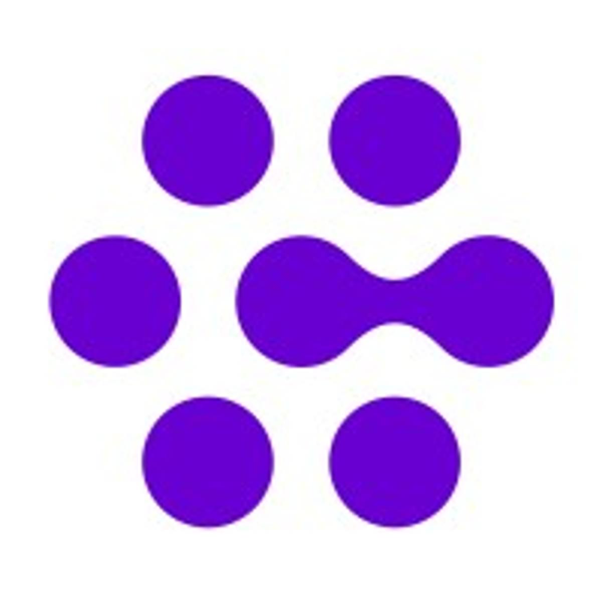Rick van Schaik start als CCO bij Gamma Communications Benelux image