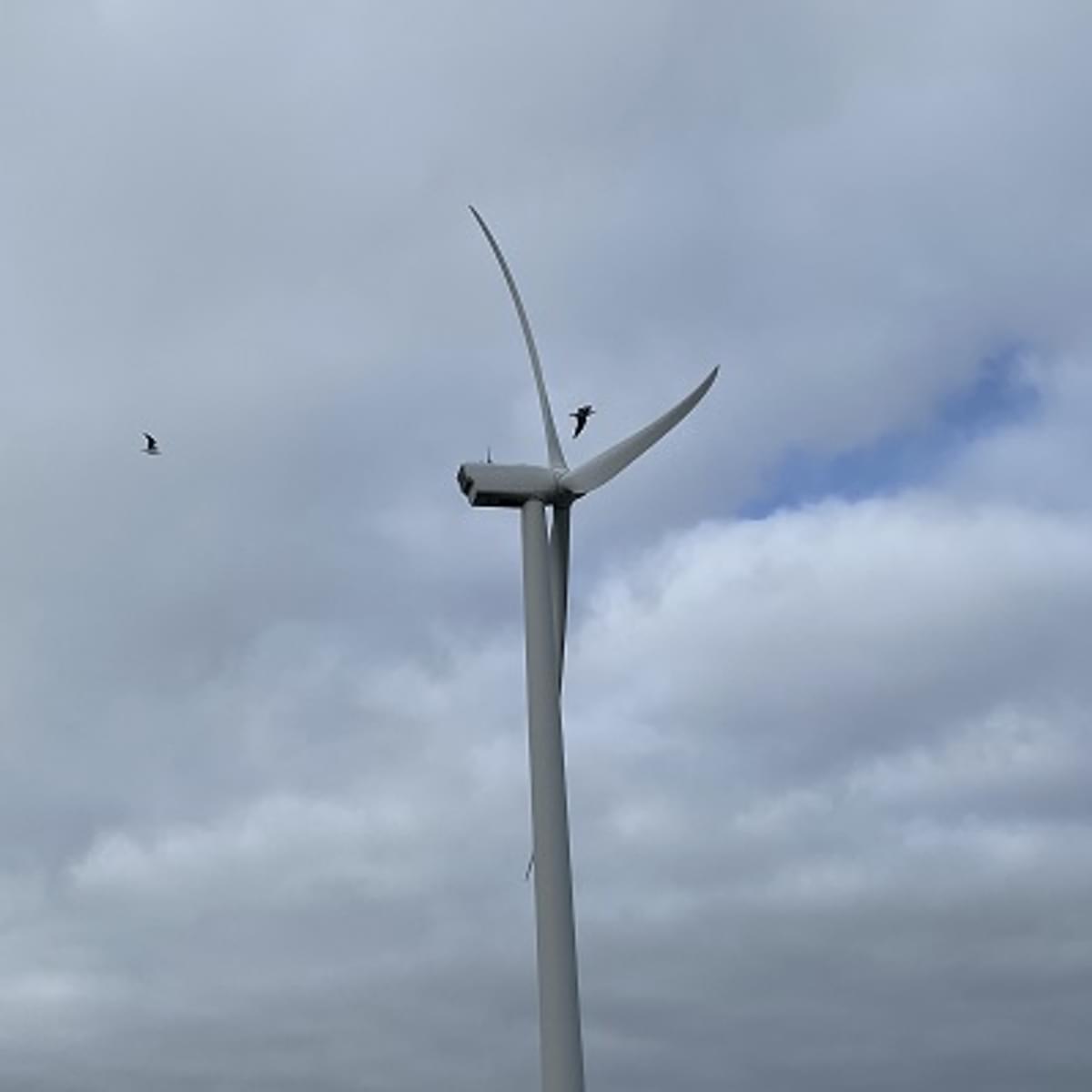 AWS, WindEurope en Accenture stroomlijnen windvergunningen image