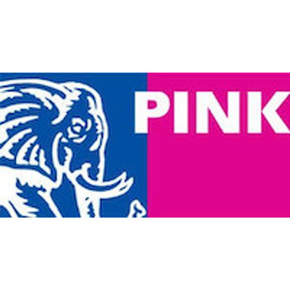 True Workspace Zuid-Nederland heet per mei Pink Elephant Zuid image