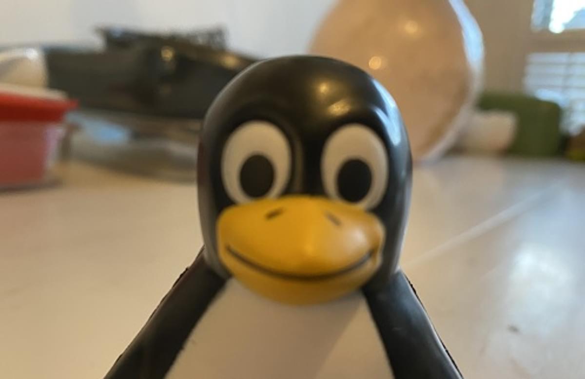 Linux bestaat dertig jaar image