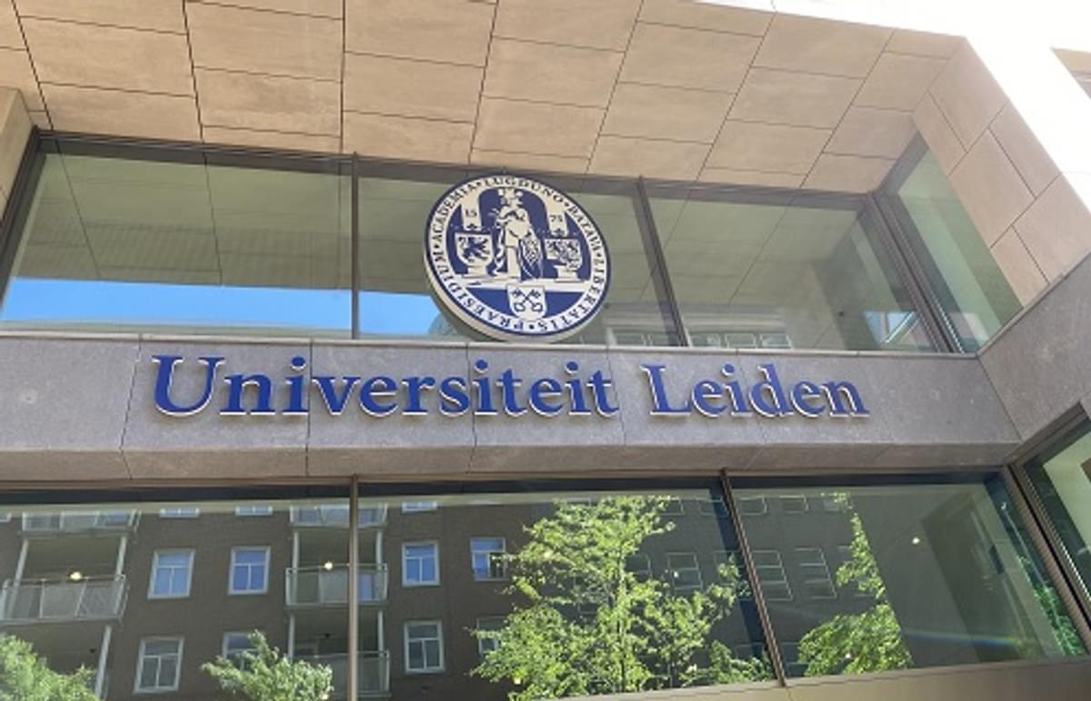 Universiteit Leiden introduceert eerste bacheloropleiding Cybersecurity & Cybercrime image