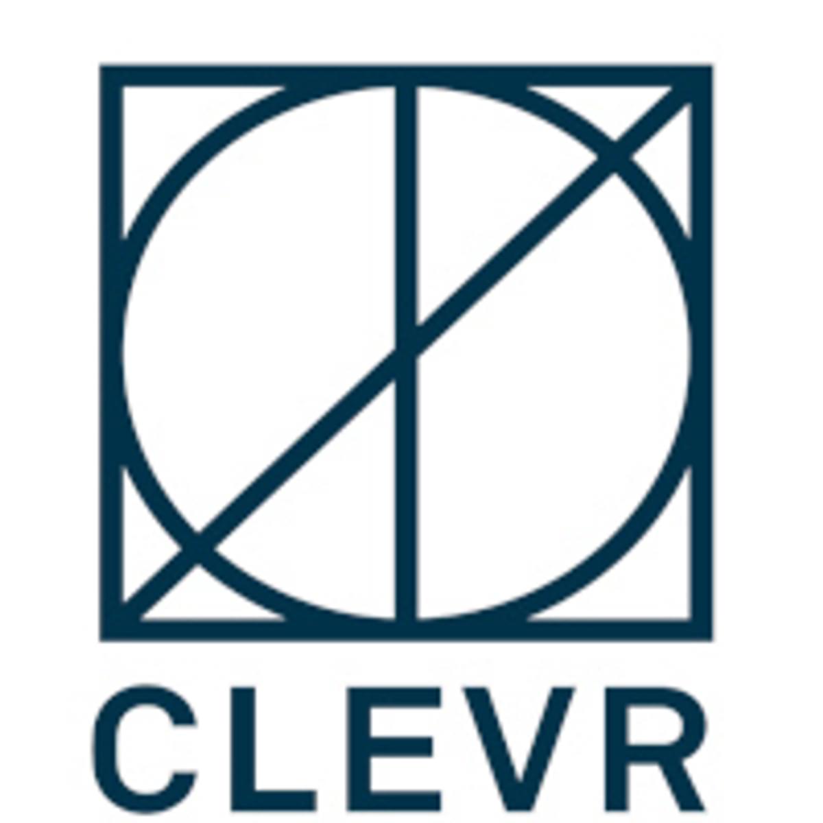 CLEVR stelt Yvette Swagerman aan als Chief People Officer image