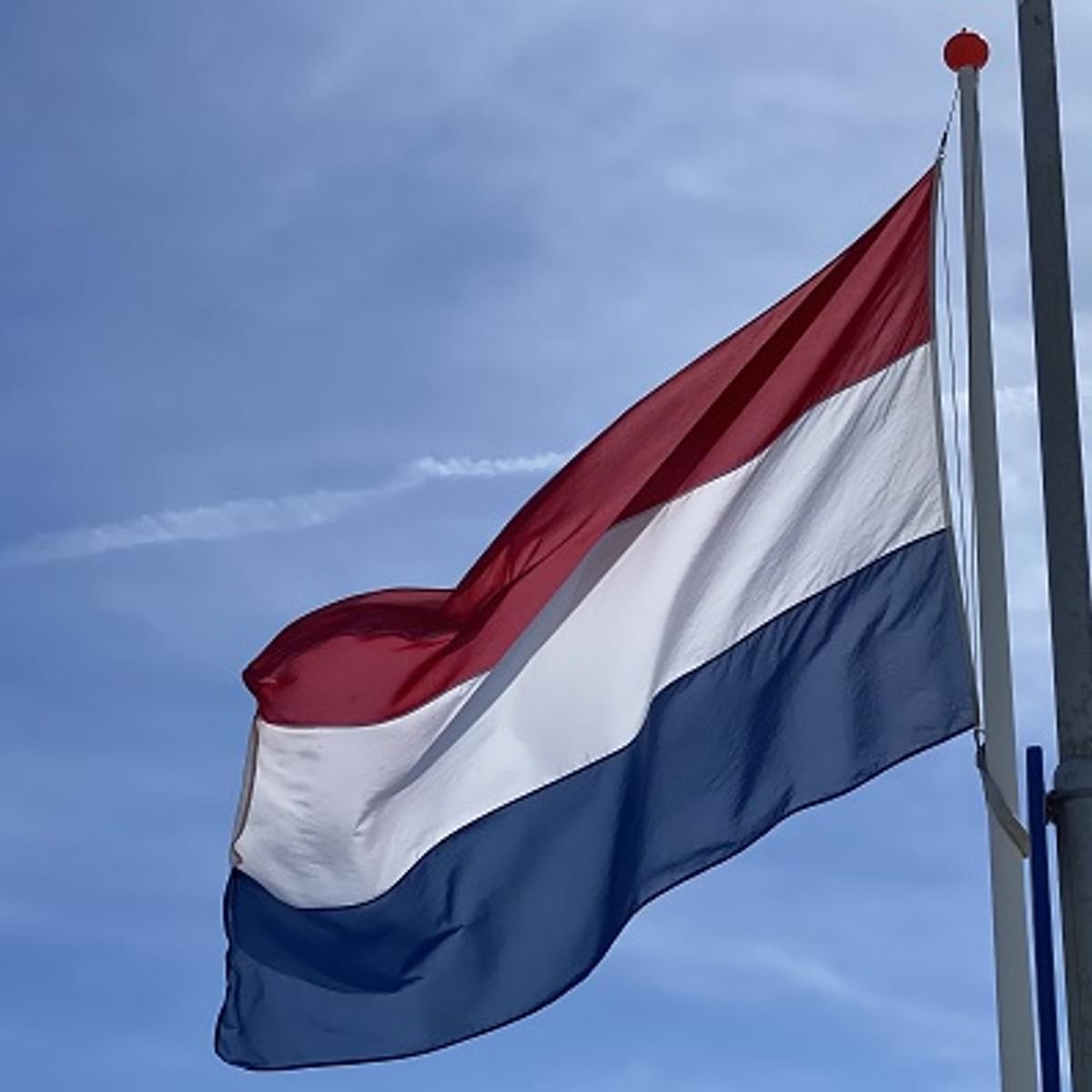 Nederlandse overheid in Europa een digitale allrounder image