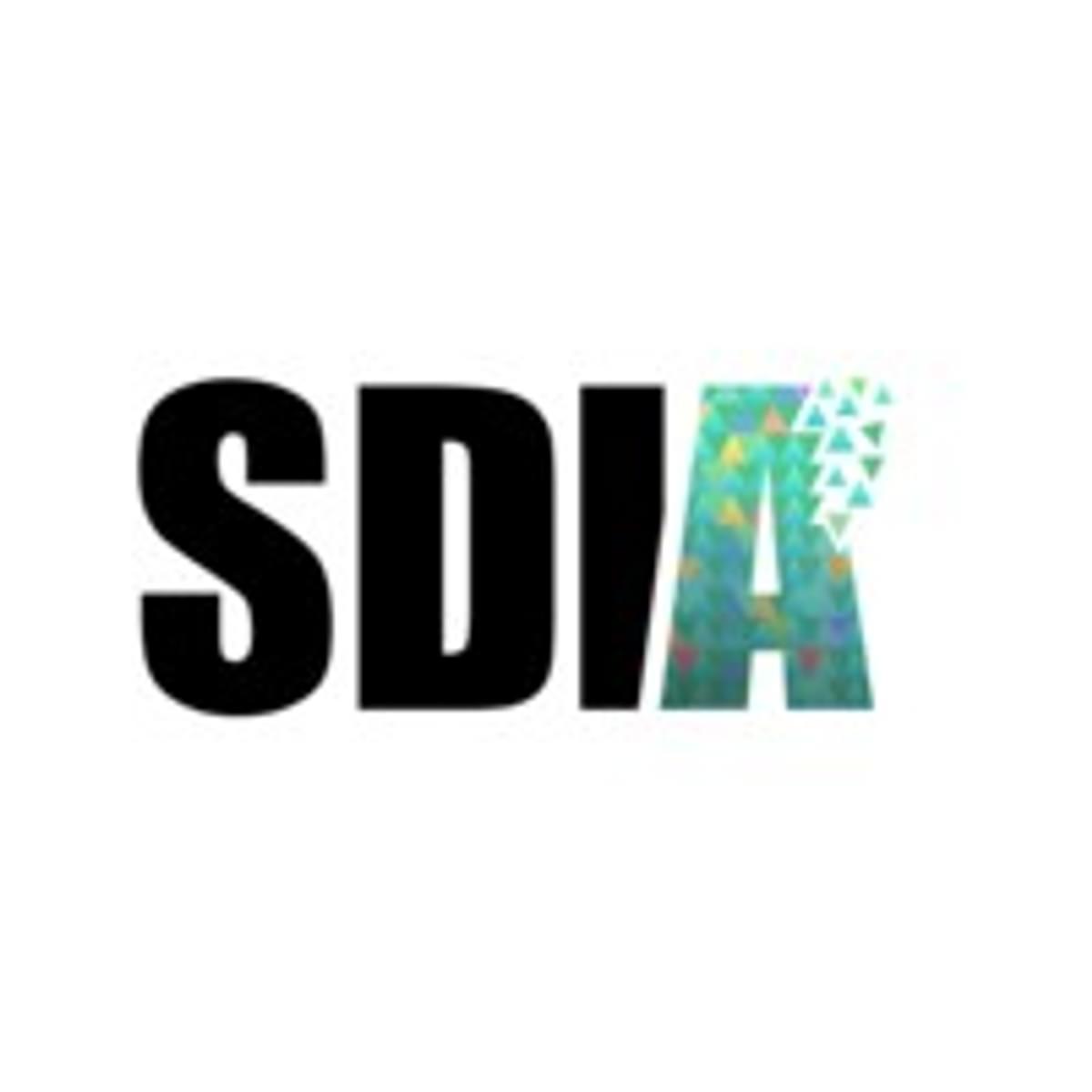 SDIA stelt Daan Terpstra aan als nieuwe CEO image
