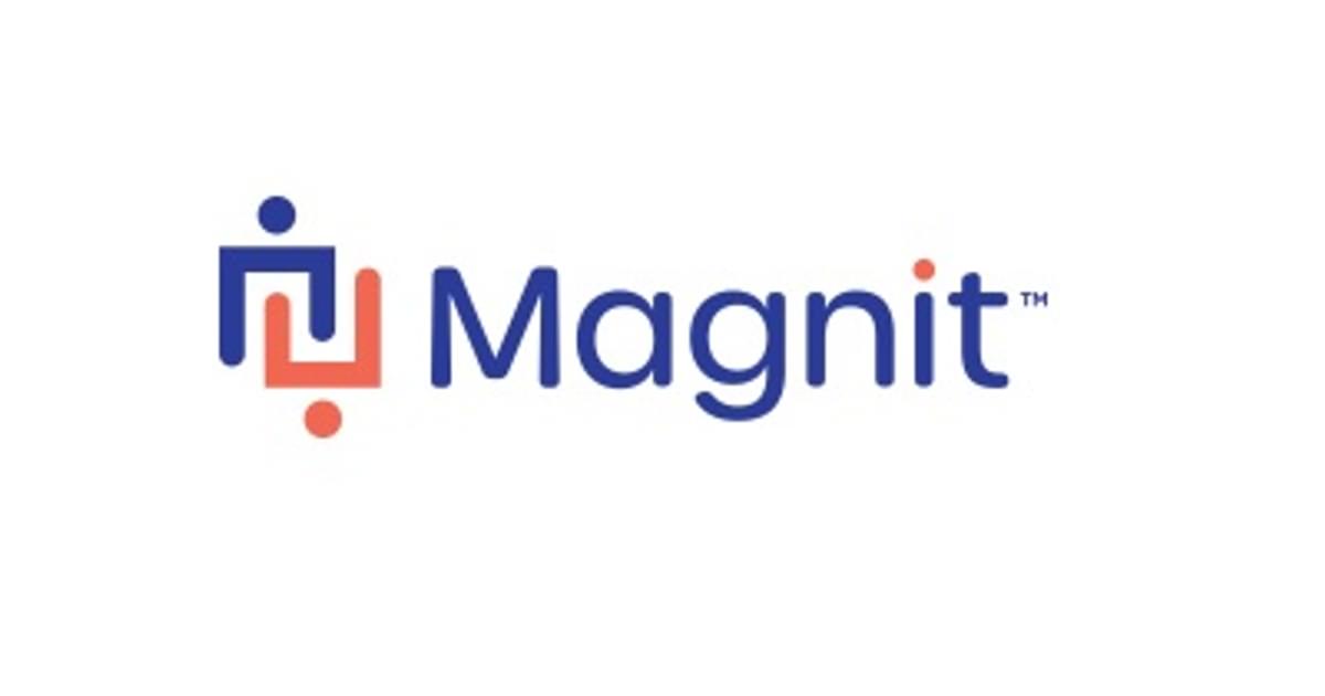 Dutch IT Channel PRO Unlimited heet nu Magnit