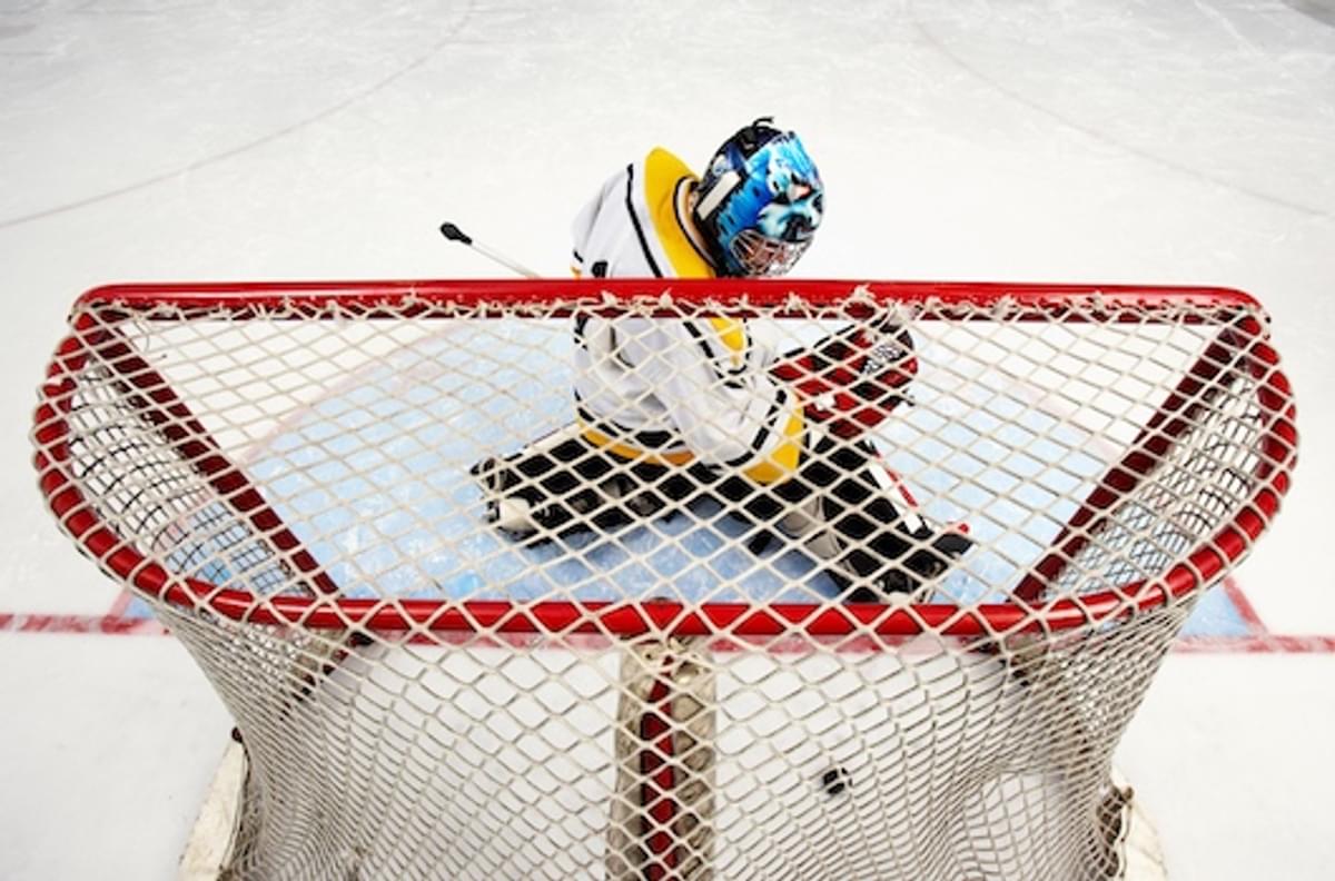National Hockey League en SAP realiseren duurzaamheidsplatform voor ijshockey image