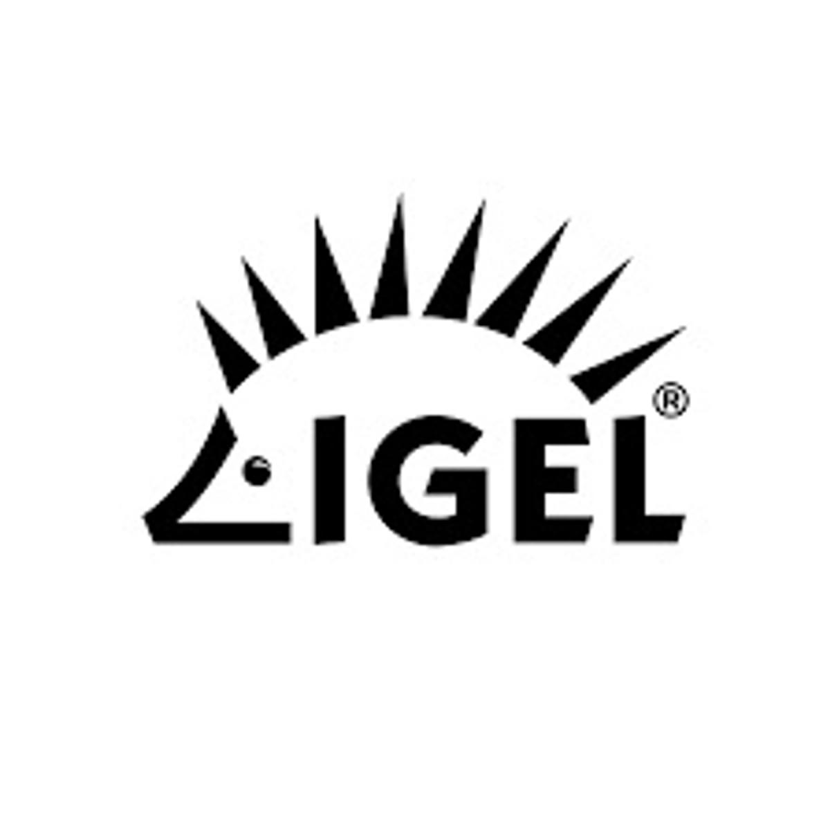 IGEL stopt hardware productie image