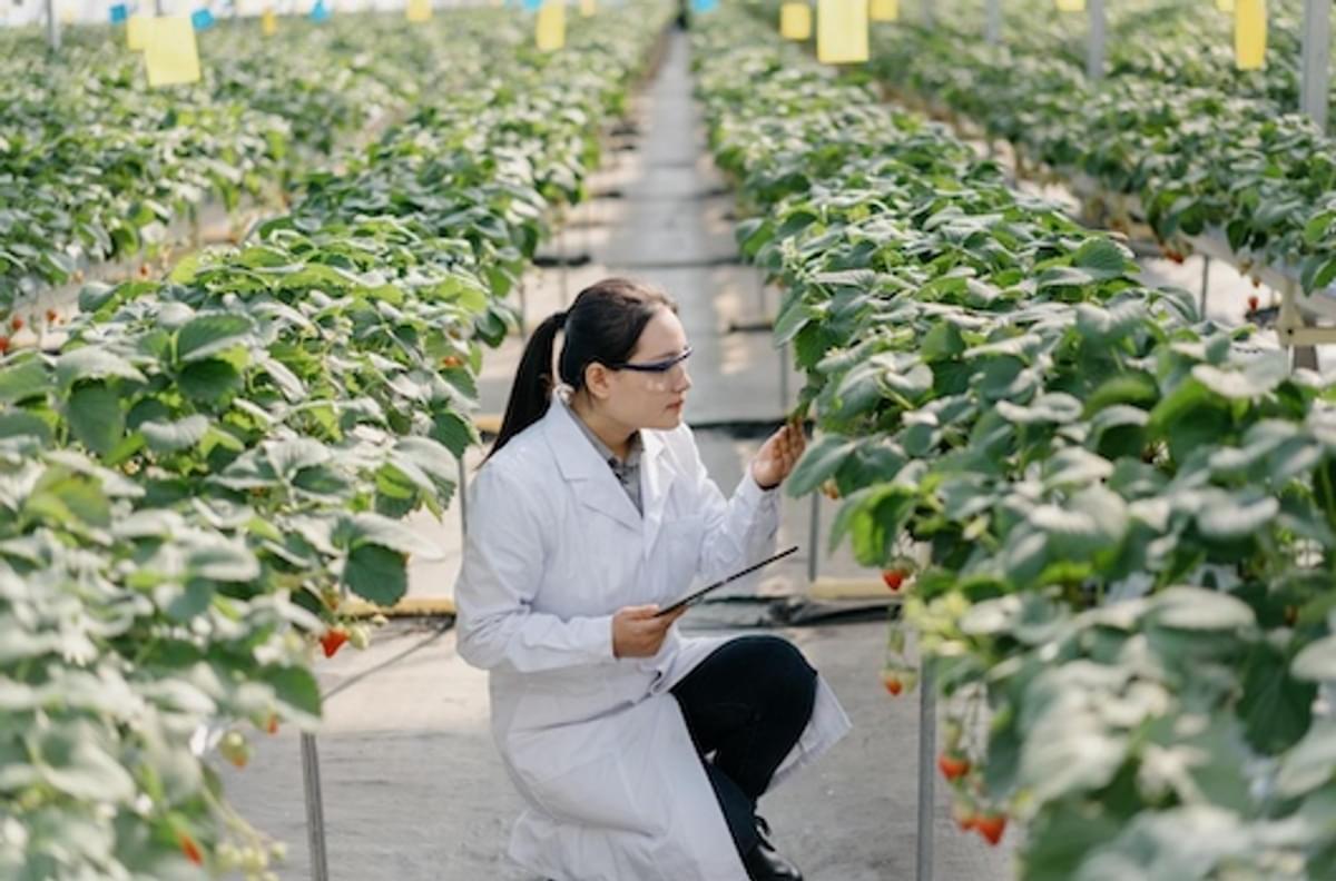 Vijf lessen getrokken uit duurzame procurement-transformatie van DSM image