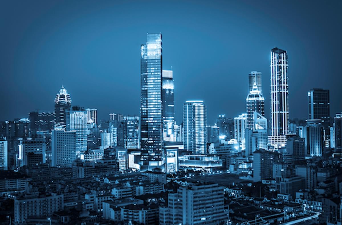 In een wereld vol chaos wint de slimste image