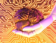 Twee derde Nederlanders bezorgd over verlies menselijke controle door AI