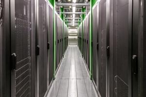 Een speciale categorie voor duurzaamheid: wie was het meest 'groen' in 2024?