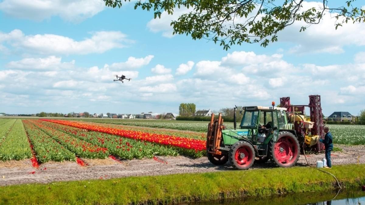 Duurzaamheidsproject Remote Sensing for Floriculture is gestart image