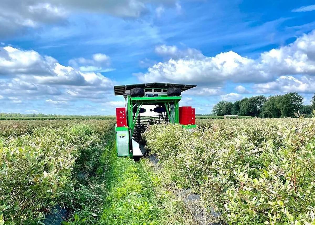 Fabrikant van oogstrobots FineField kiest voor SAP S/4 HANA image