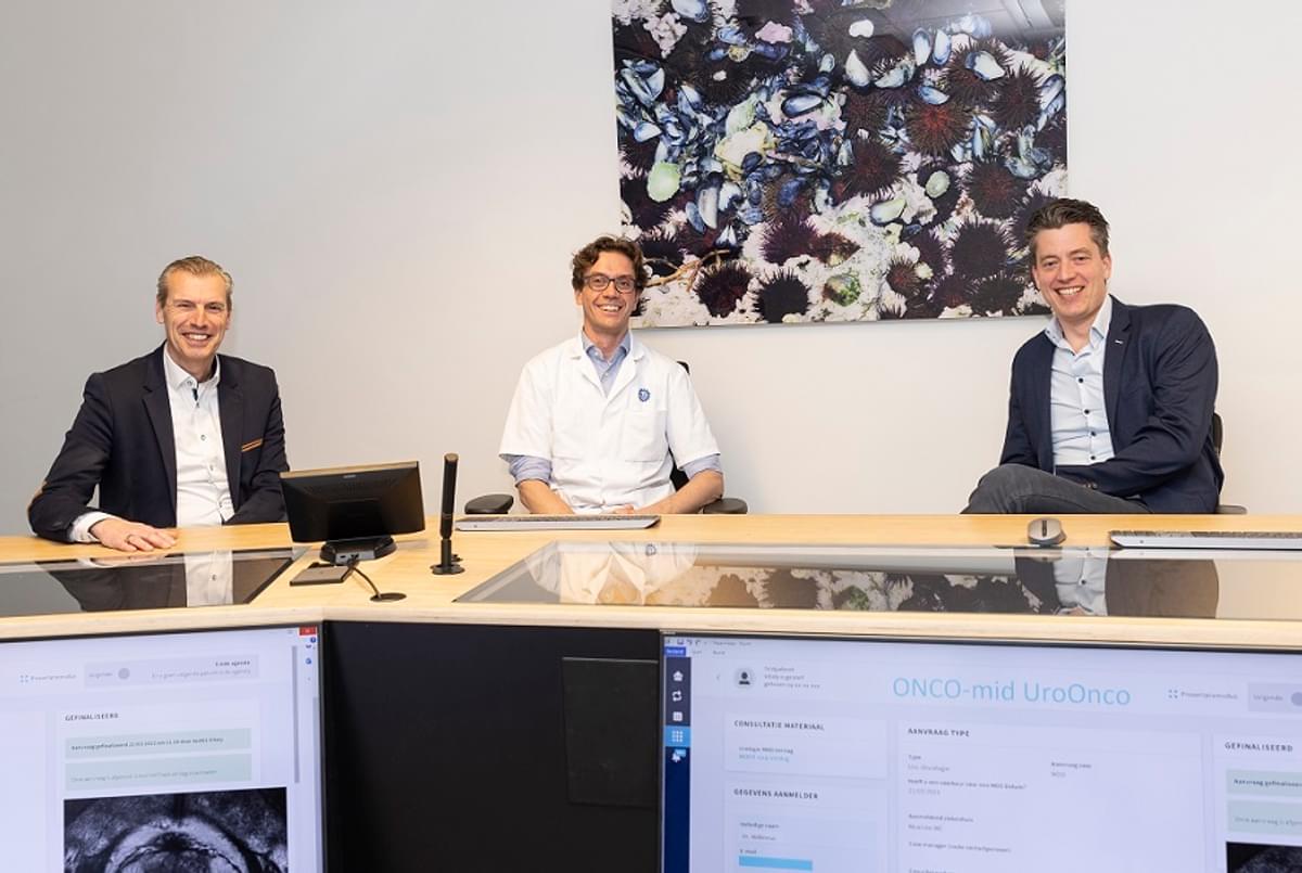 Digitaal oncologie-MDO biedt volledigheid en kwaliteit met Vitaly-platform image