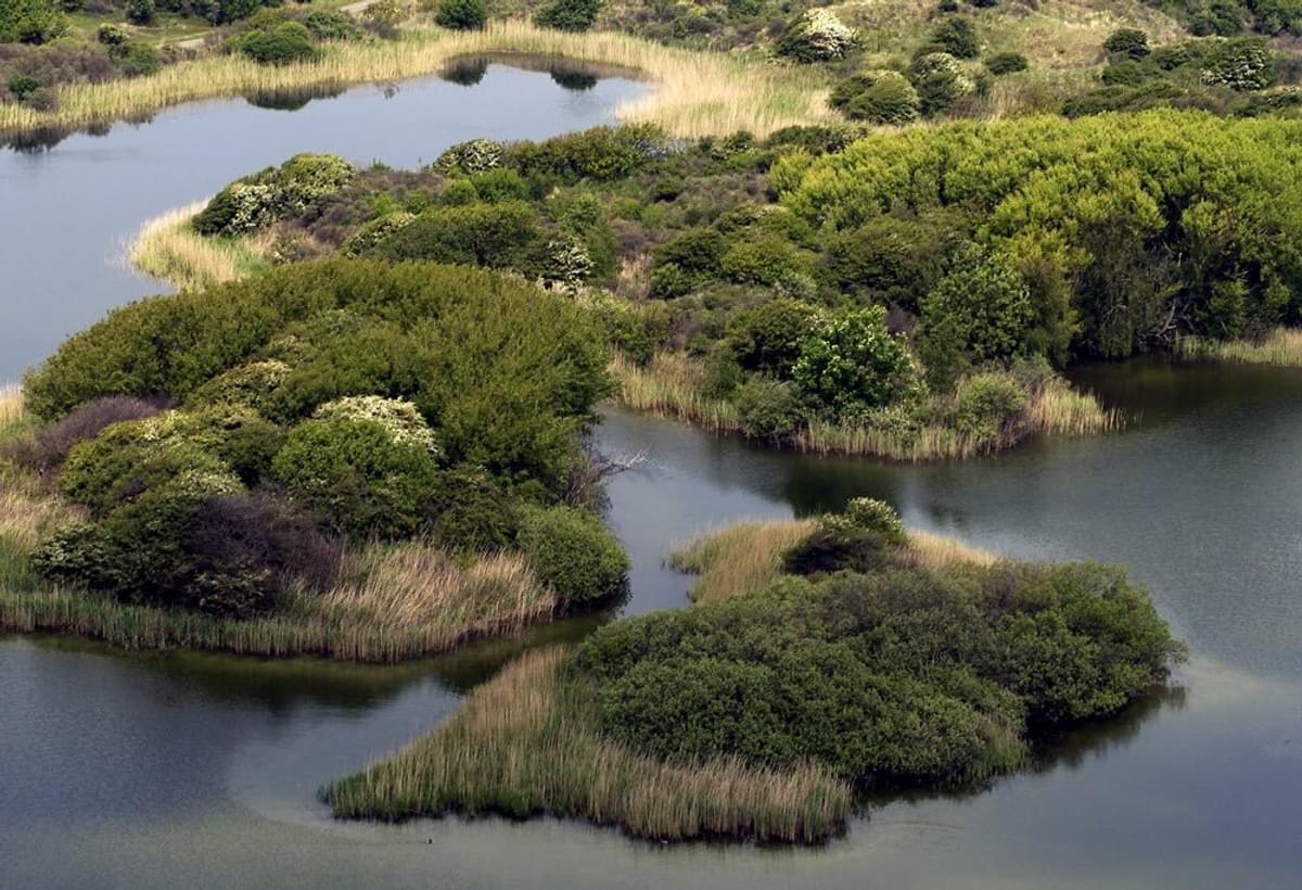 Fundaments wint aanbesteding Dunea voor Broadcom-licenties image