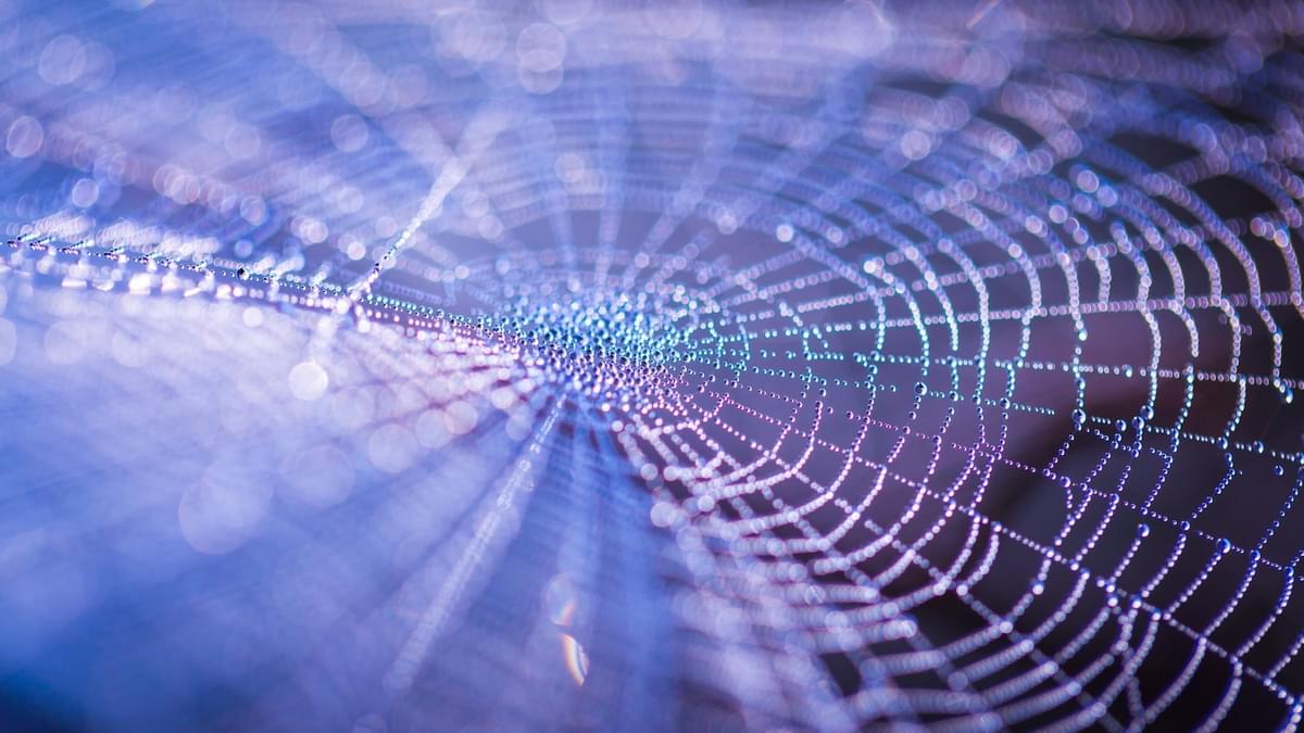 De revolutie van het Open Data for Data Science ecosysteem image