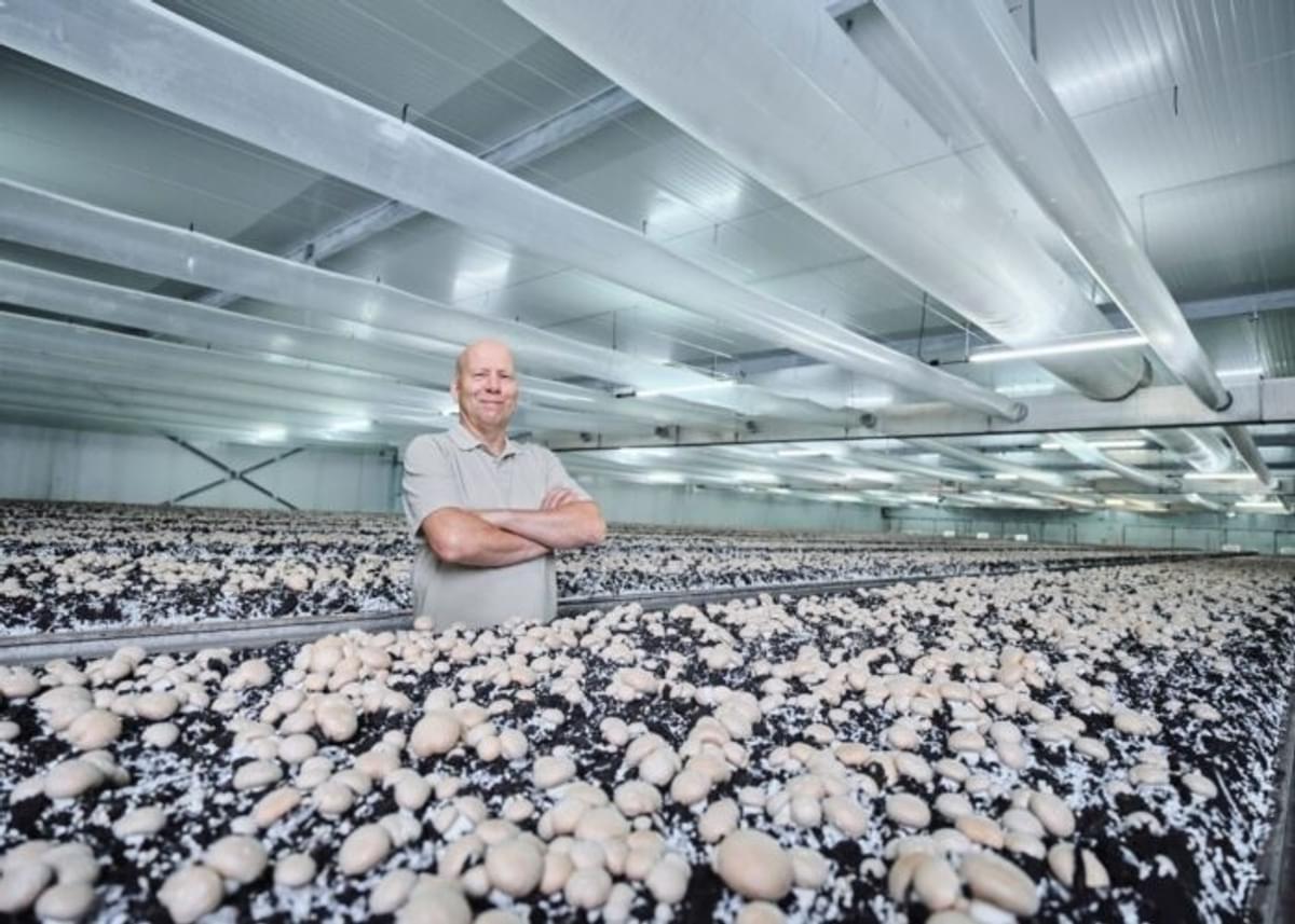 White Fields krijgt beter inzicht met SAP S/4HANA Cloud image