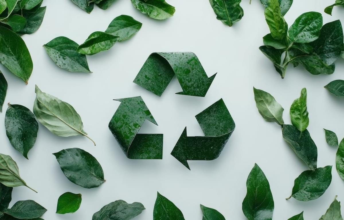 Meerderheid Nederlanders wil meer aandacht voor klimaatimpact van AI image