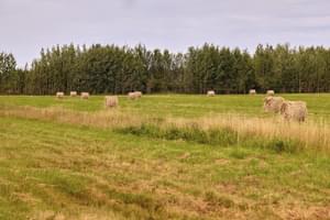 Vrouwen zetten zich in voor duurzame en dynamische toekomst voor plattelandsgebieden