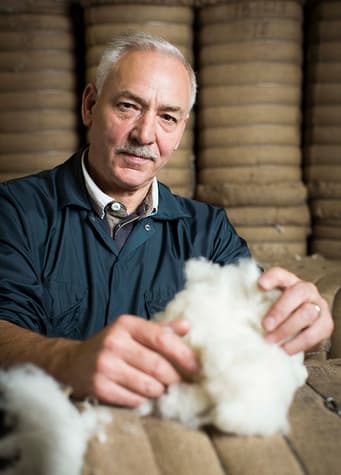 Johnstons of Elgin raw cashmere fibres being held by one of our employees in the fibre store