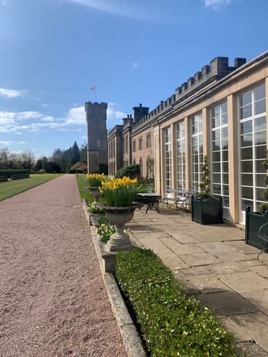 Gordon Castle Patio in the sunshine with daffodils in bloom