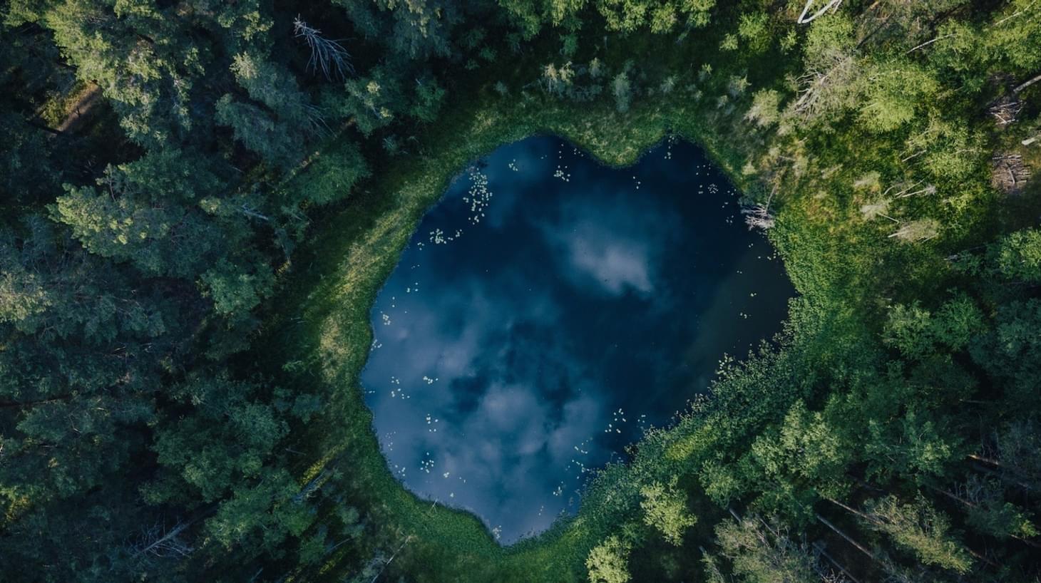 Top down shot of a crystal clear lake in the middle of a forest
