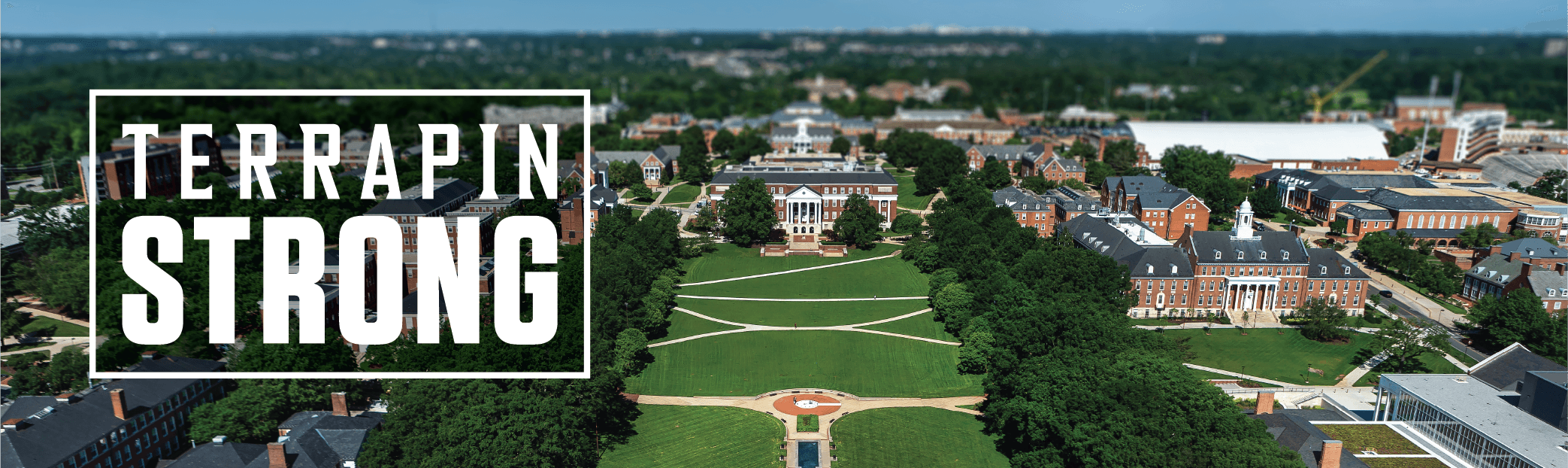 McKeldin Mall with TerrapinSTRONG logo