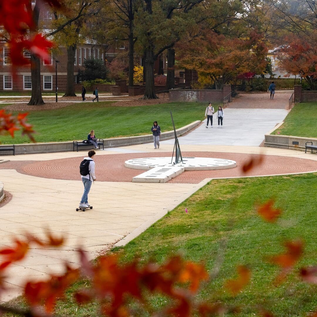 Walkway across McKeldin framed by trees