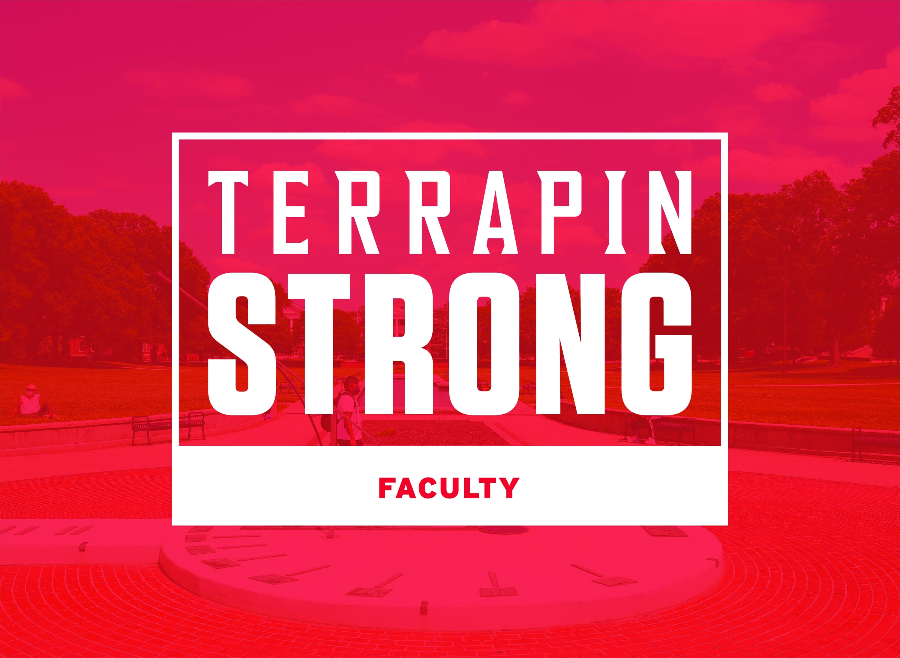 TerrapinSTRONG logo