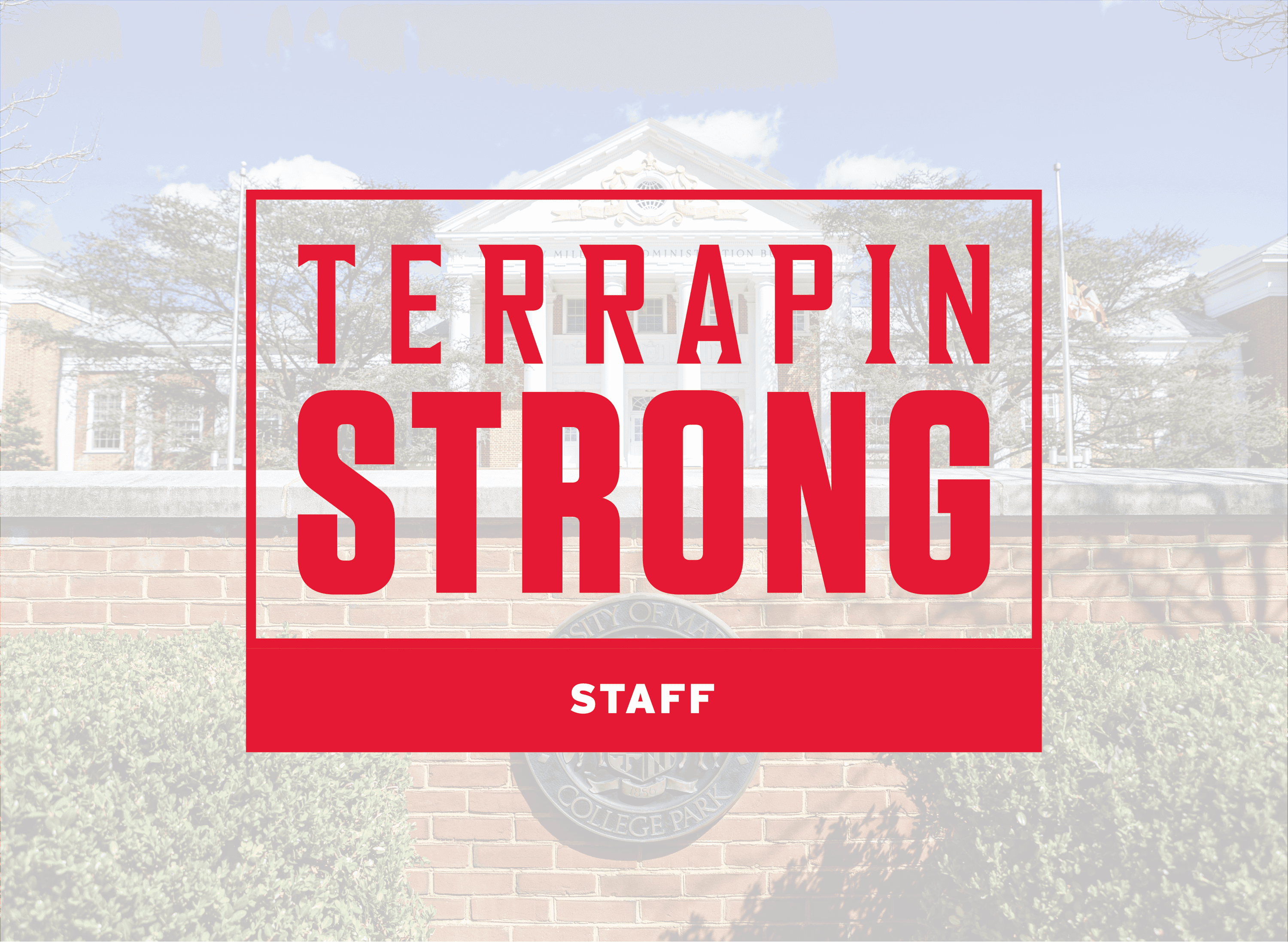 TerrapinSTRONG logo