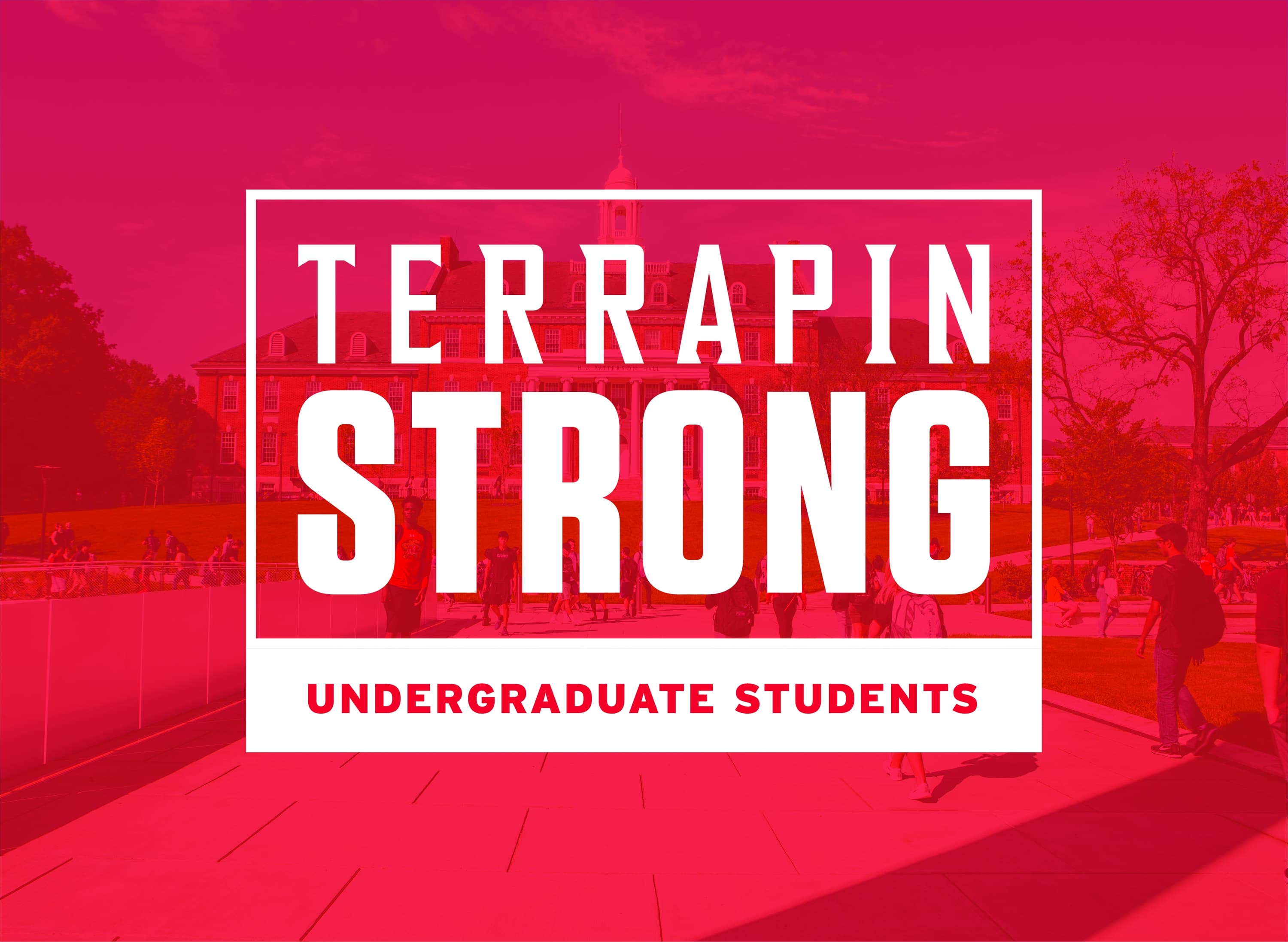 TerrapinSTRONG logo