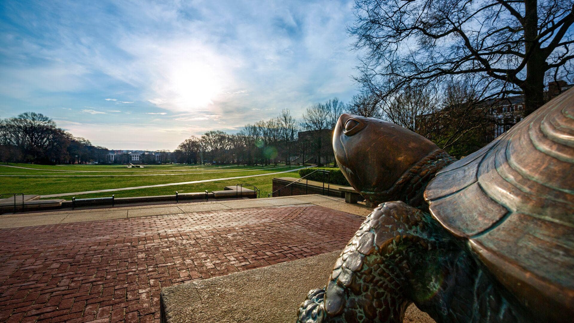 Testudo statue in front of McKeldin Library overlooking the Mall just after sunrise.