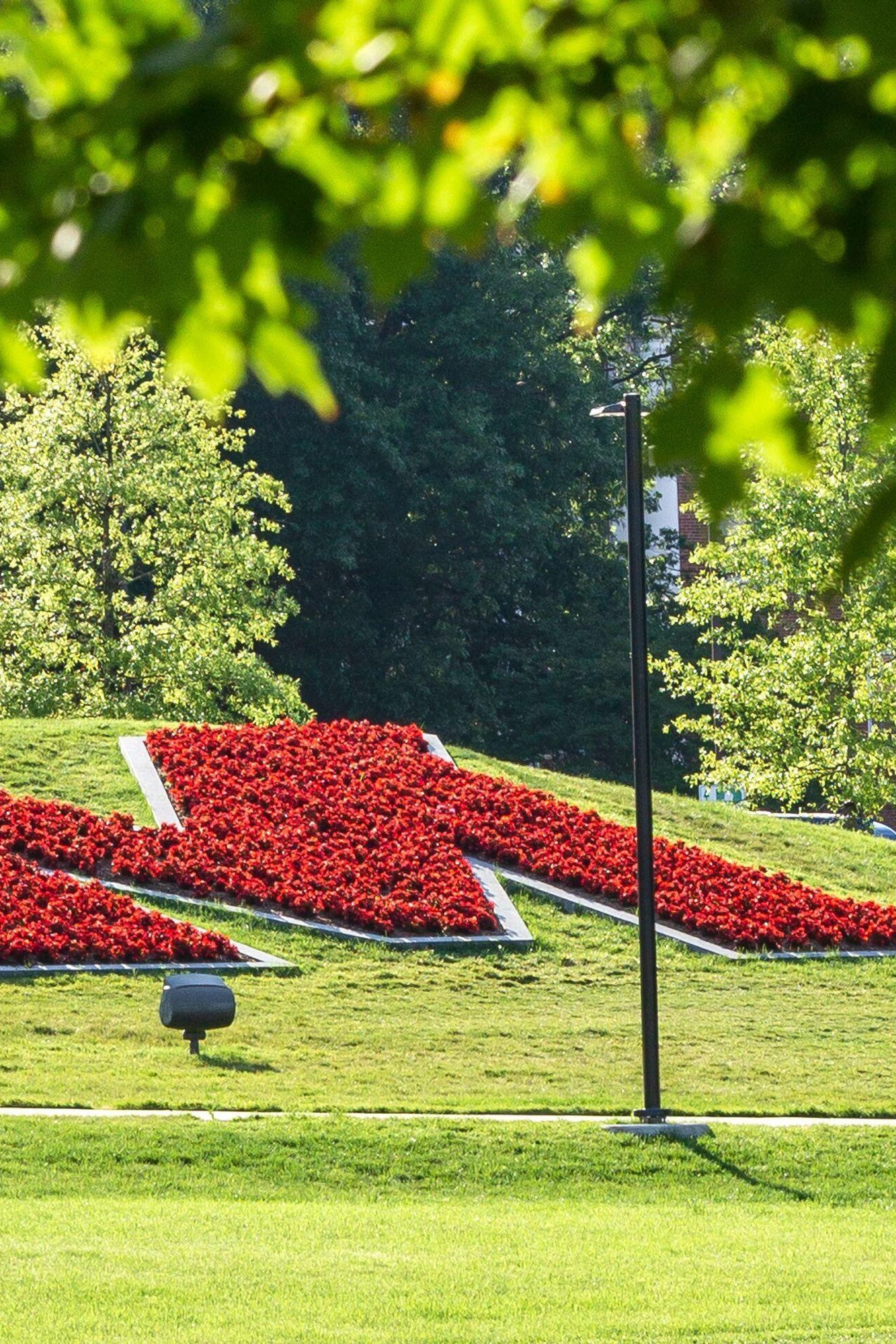 M Circle in red flowers