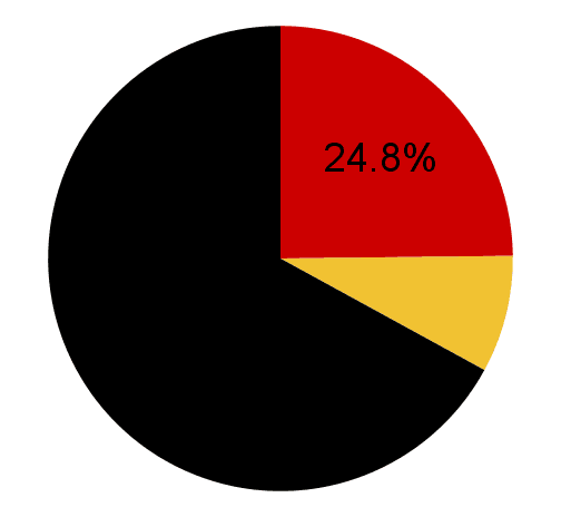 pie chart showing 24.8% completion