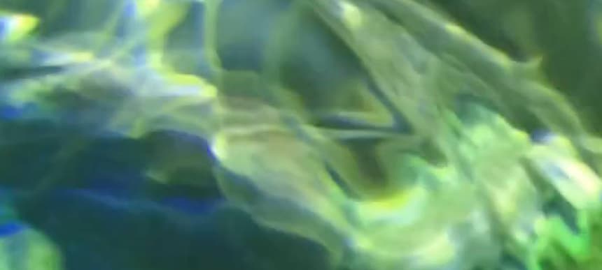 10495388 853213891370584 6561878663894253497 o