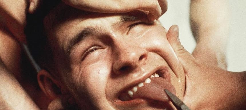 140028937 452003386181003 243678746025078888 n e1613407761682