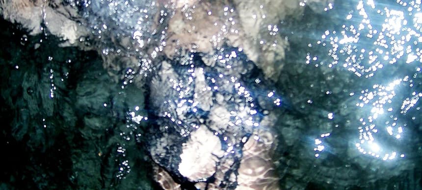 Arca Photo 2014