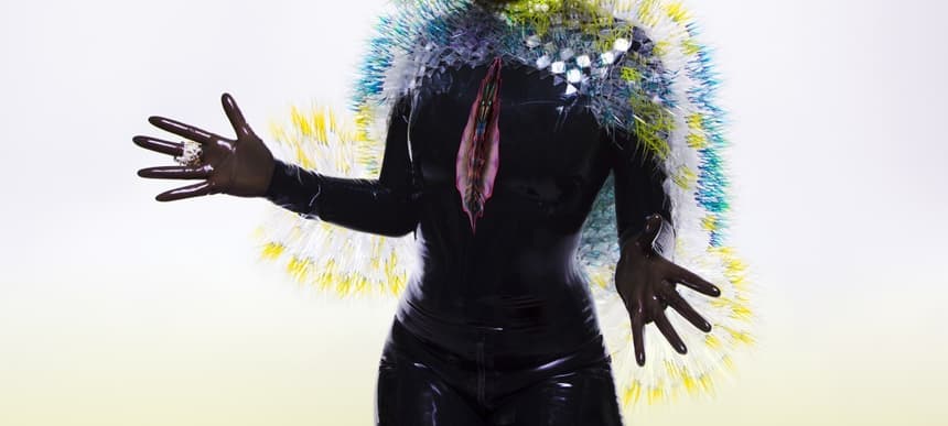 Bjork Vulnicura Cover Art