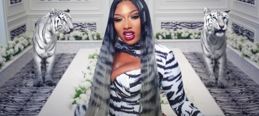 Carole Baskin Slams Cardi B Meghan Thee Stallion For Big Cats In WAP Video 2