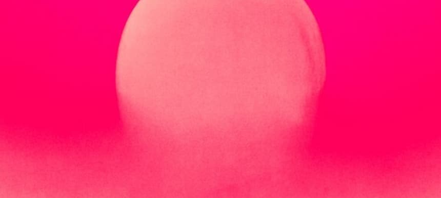 DEAR TOMMY PINK 575x575