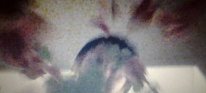 Fis