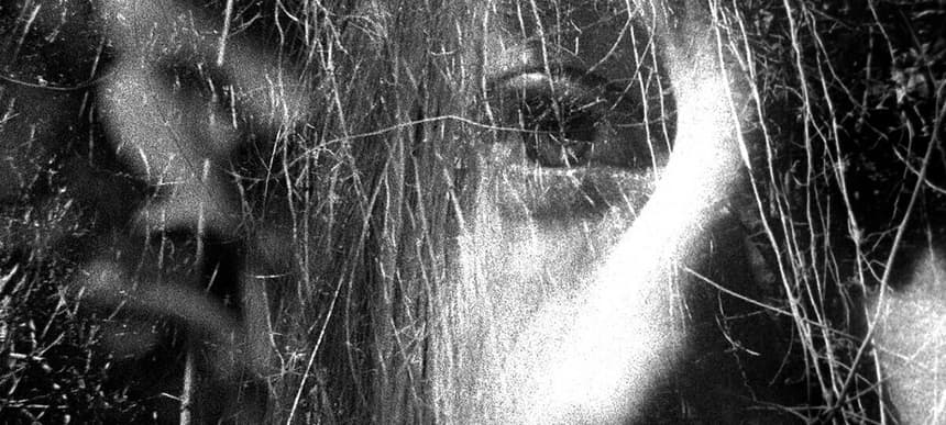 Forestface