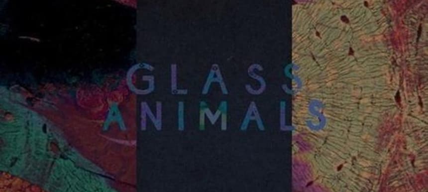 Glass Animals - Exxus (patten Remix) | DMY Glass Animals - Exxus (patten Remix) | DMY
