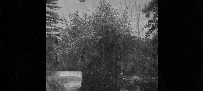 Grouper Ruins Album Art