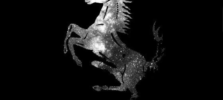 Horse Meat Disco