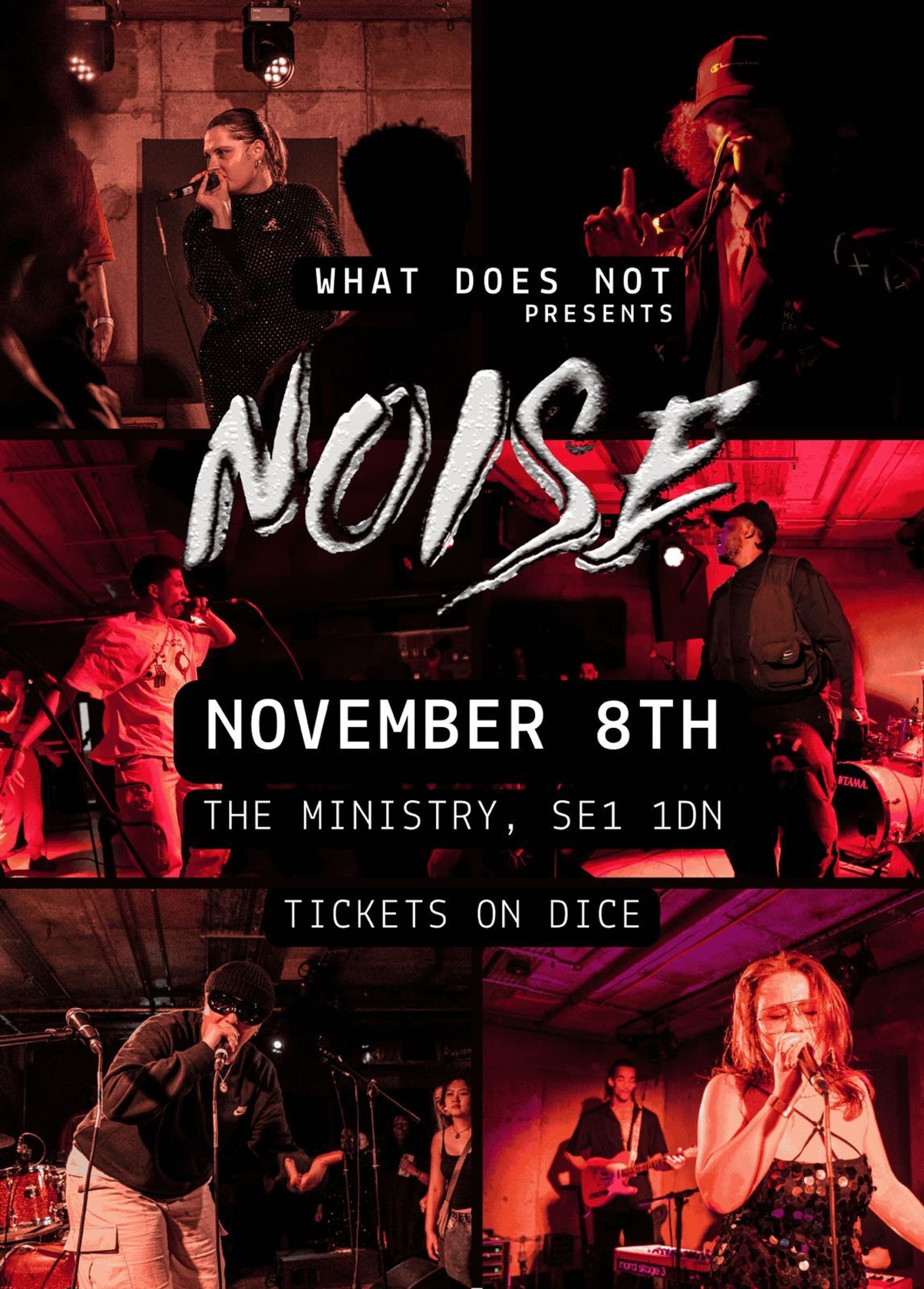 NOISE NOV 8 Flyer