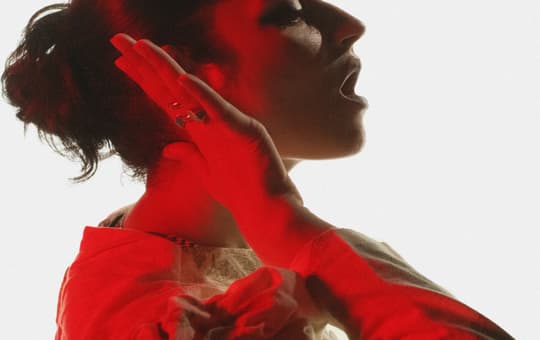 Seal It Promo Square 3